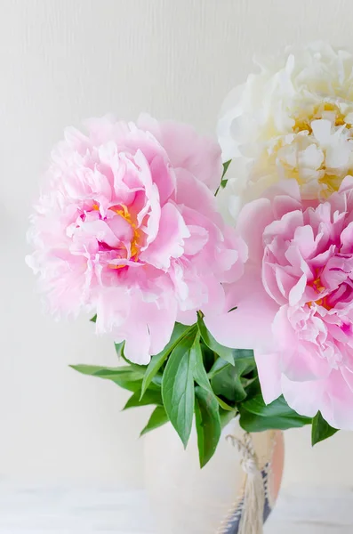 Beautiful Bouquet Fresh Pink White Peonies Vase White Background Close — Zdjęcie stockowe