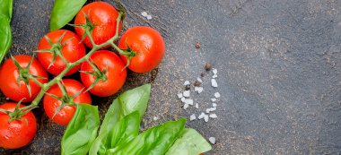 Olgun kırmızı ve sarı domates, yeşil soğan ve fesleğen, sarımsak, tuz ve baharat karanlık bir taş zemin üzerine. Üstten görünüm, kopya alanı.