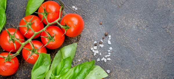 Olgun kırmızı ve sarı domates, yeşil soğan ve fesleğen, sarımsak, tuz ve baharat karanlık bir taş zemin üzerine. Üstten görünüm, kopya alanı.