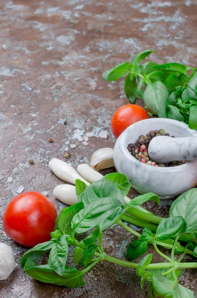 Olgun kırmızı ve sarı domates, yeşil soğan ve fesleğen, sarımsak, tuz ve baharat karanlık bir taş zemin üzerine. Üstten görünüm, kopya alanı. 