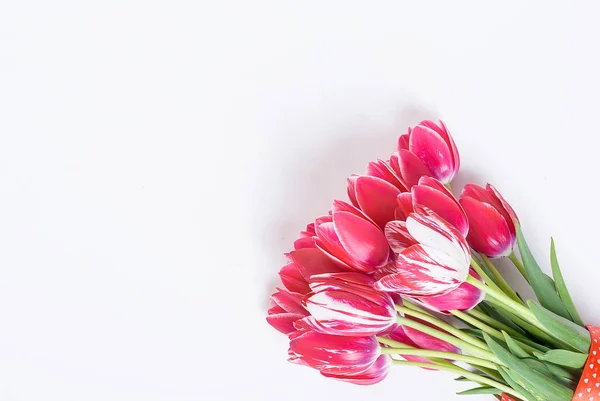 Beautiful Red Tulips Flower Bouquet Lay White Background Romantic Still — Stock Photo, Image