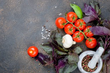 Olgun kırmızı ve sarı domates, yeşil soğan ve fesleğen, sarımsak, tuz ve baharat karanlık bir taş zemin üzerine. Üstten görünüm, kopya alanı.
