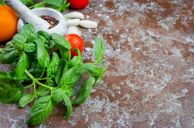 Yeşil fesleğen, domates, yeşil soğan, sarımsak, tuz ve baharat karanlık bir taş zemin üzerine. Üstten görünüm, kopya alanı. 