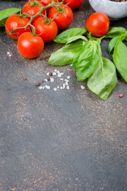 Olgun kırmızı ve sarı domates, yeşil soğan ve fesleğen, sarımsak, tuz ve baharat karanlık bir taş zemin üzerine. Üstten görünüm, kopya alanı.