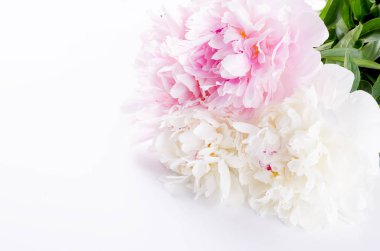 Güzel beyaz backg üzerinde beyaz ve açık pembe peonies buket