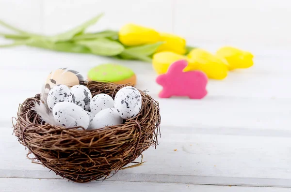 Renkli gingerbread çerezleri yumurta ve fl Paskalya arka plan — Stok fotoğraf
