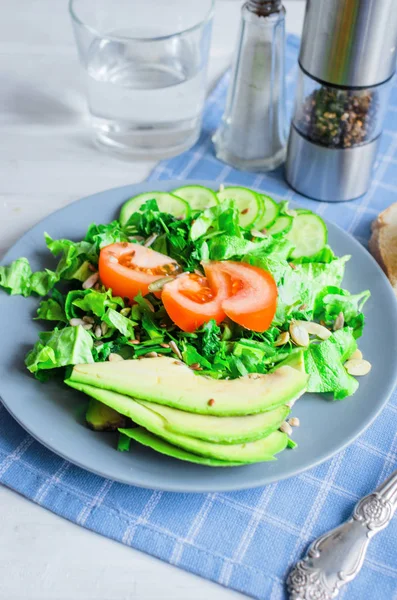 Salat aus Salat, Gurken, Avocado und Tomaten — Stockfoto