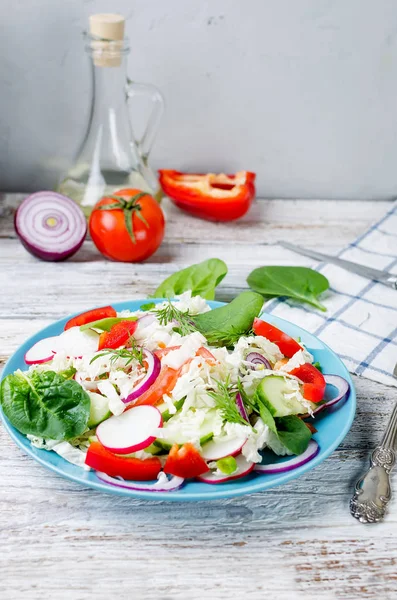 Salad Fresh Vegetables Tomatoes Cucumbers Radishes Onions Herbs — Stock Photo, Image