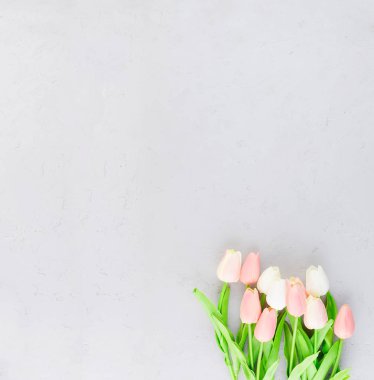 gri bir beton arka planda açık pembe lale buket