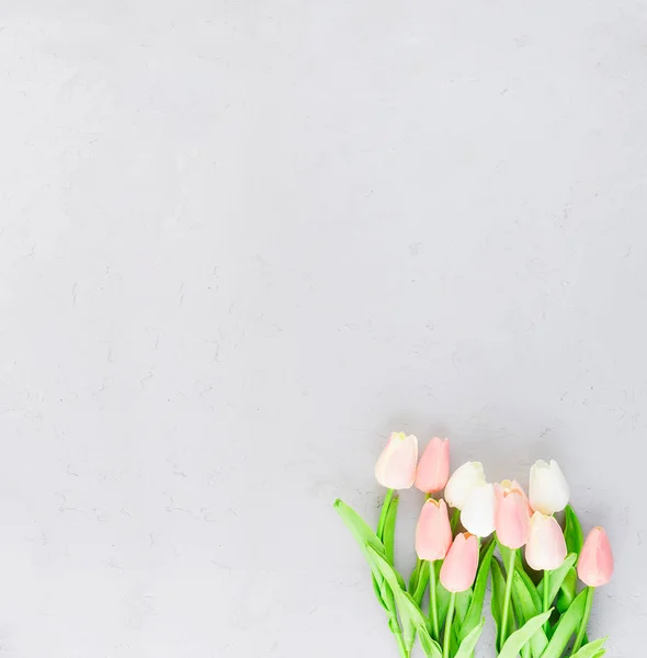 Bouquet of light pink tulips on a gray concrete background — Stock Photo, Image