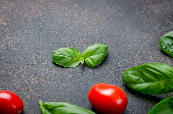 녹색 바질, 체리 토마토, 퍼퍼 스파이스 잎 — 스톡 사진