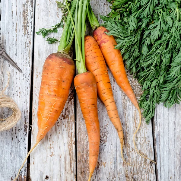 Zanahorias enteras recién lavadas con hojas —  Fotos de Stock