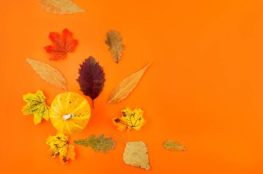 Kabak ve yapraklarla sonbahar arkaplanı