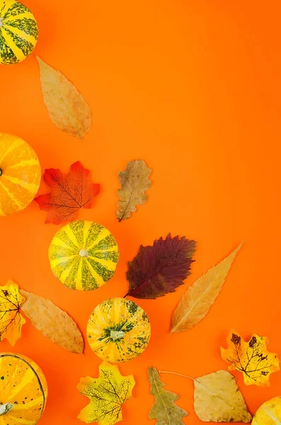 Fondo de otoño con calabazas y hojas —  Fotos de Stock