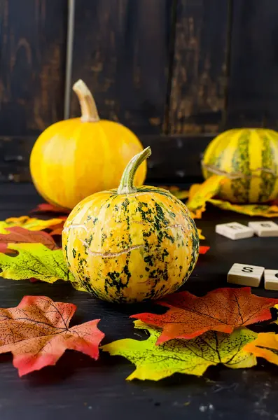 Fond d'automne avec citrouilles, feuilles — Photo