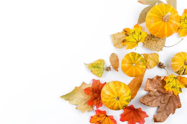 Fondo de otoño con calabazas y hojas —  Fotos de Stock