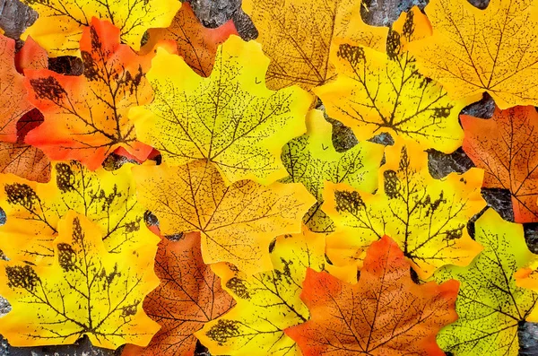 Fondo de otoño con hojas brillantes de colores —  Fotos de Stock