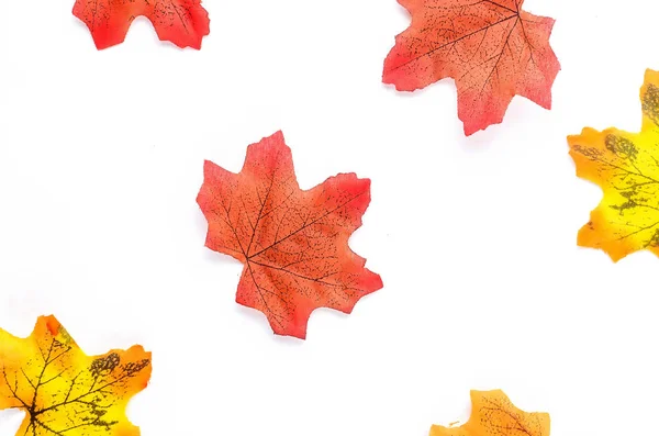 Herbst Hintergrund mit farbigen hellen Blättern — Stockfoto