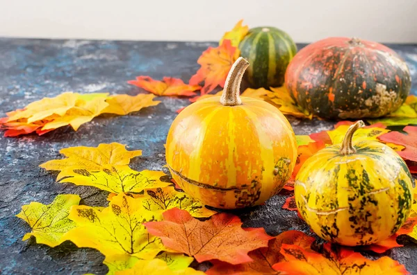 Fond d'automne avec citrouilles et feuilles — Photo