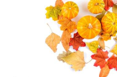 Renkli sonbahar yaprakları ve beyaz arka planda balkabağı. Uzayı metin için kopyala. Sonbahar, sonbahar ya da şükran günü konsepti. Düz yatış, üst görünüm, 