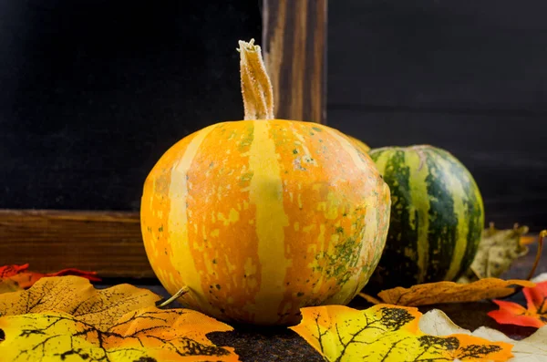 Fondo de otoño con calabazas decorativas, hojas sobre fondo de hormigón oscuro — Foto de Stock