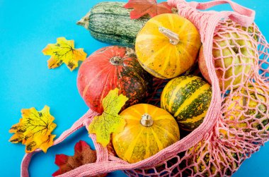 Güz kompozisyonu ve balkabakları alışveriş poşetinde