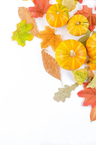 Fondo de otoño con hojas amarillas y calabaza —  Fotos de Stock