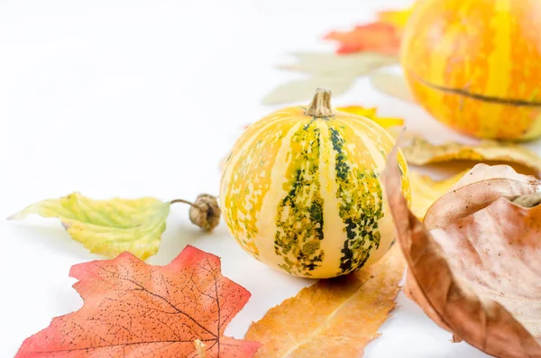Fondo de otoño con hojas amarillas y calabaza — Foto de Stock