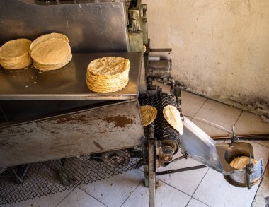 Tipik bir Meksika dükkanında tortilla makinesine istiflenmiş tortilla.