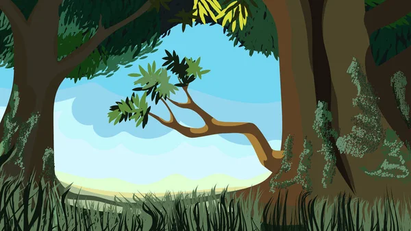 güneşli bir öğleden sonra bir takas çimenli bir ot ile üzerinde yeşil bir ormanda vektör çizim.