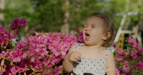 Niña jugando con burbujas en el parque de verano. Movimiento lento — Vídeos de Stock