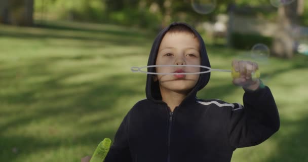 Kleine schattige jongen blaast zeepbellen in het park in de natuur, vreugdevolle emoties in een kind, heldere grote zeep ballen. — Stockvideo