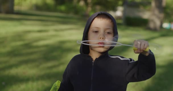 Kleine schattige jongen blaast zeepbellen in het park in de natuur, vreugdevolle emoties in een kind, heldere grote zeep ballen. — Stockvideo