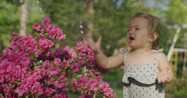 Kleines Mädchen spielt mit Blasen im Sommerpark. Zeitlupe — Stockvideo