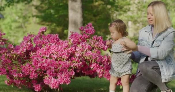 Mujer bastante joven con su pequeña niña divirtiéndose con flores en el parque — Vídeos de Stock