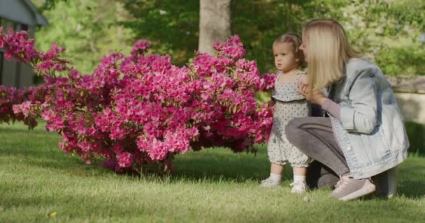 Mujer bastante joven con su pequeña niña divirtiéndose con flores en el parque — Vídeos de Stock