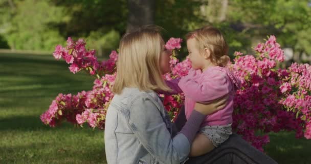 Küçük kızıyla güzel genç bir kadın parkta çiçeklerle eğleniyor. — Stok video