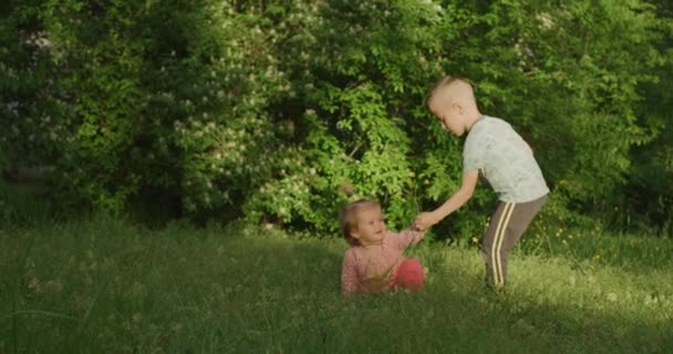Kleiner Junge schenkt seiner Schwester im Sommerpark eine Blume — Stockvideo
