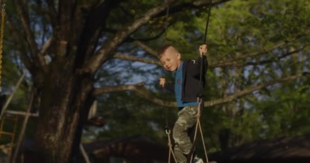 Kleiner Junge auf einer Schaukel in einem grünen Park. Glückliche Kindheit. — Stockvideo