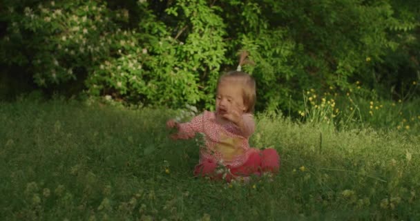 Baby Mädchen ist im Sommerpark. Ein süßes kleines Mädchen ist draußen — Stockvideo
