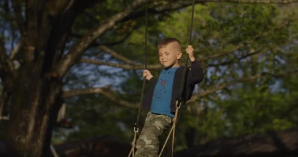 小さな男の子が緑の公園でスイングに乗っている。幸せな子供時代. — ストック動画