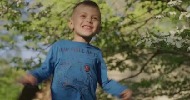 Portrait of happy little boy dancing in summer. — Stock Video