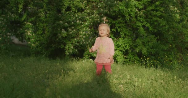 La niña está en el parque de verano. Una linda niña está afuera. — Vídeos de Stock