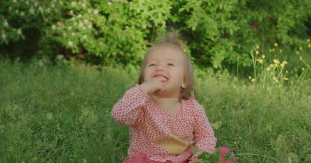 Baby girl is in the summer park. A cute baby girl is outside — Stock Video