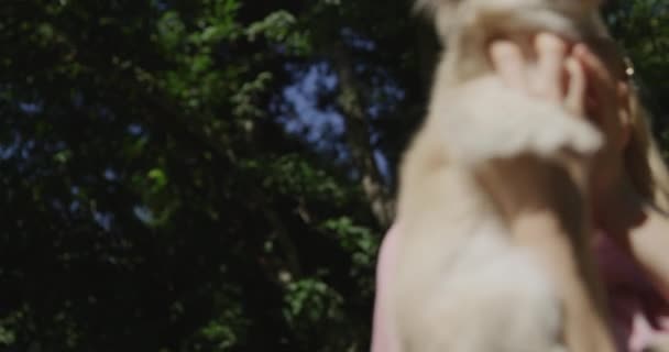 Feliz hermosa mujer en gafas de sol es divertirse con su pequeño perro lindo chihuahua. cámara lenta 4k — Vídeo de stock