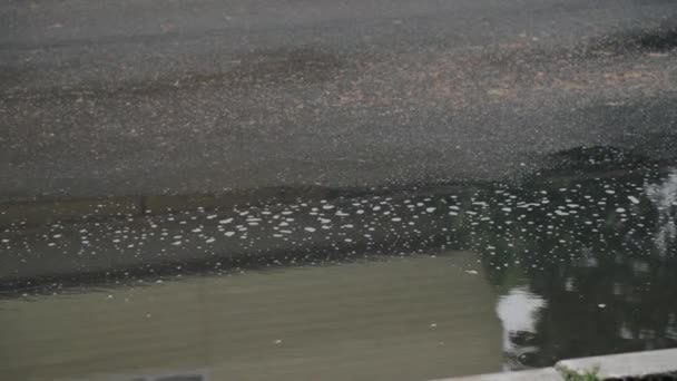 Primo piano colpo di pozzanghera sulla strada con schiuma. Riflesso dell'auto che se ne va. Primavera pioggerellina pioggia malinconico tempo. — Video Stock