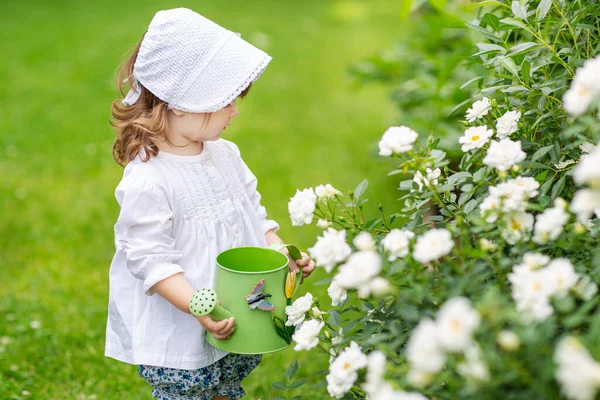 Egy Nyári Napon Egy Kislány Gondoskodik Virágokról Kertben Rózsákat Locsolva — Stock Fotó