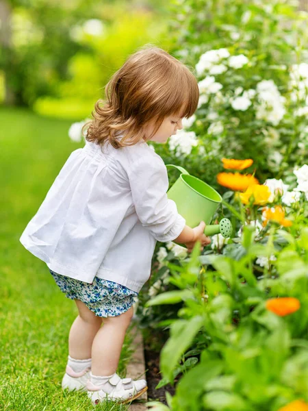 Egy Nyári Napon Egy Kislány Gondoskodik Virágokról Kertben Rózsákat Locsolva — Stock Fotó