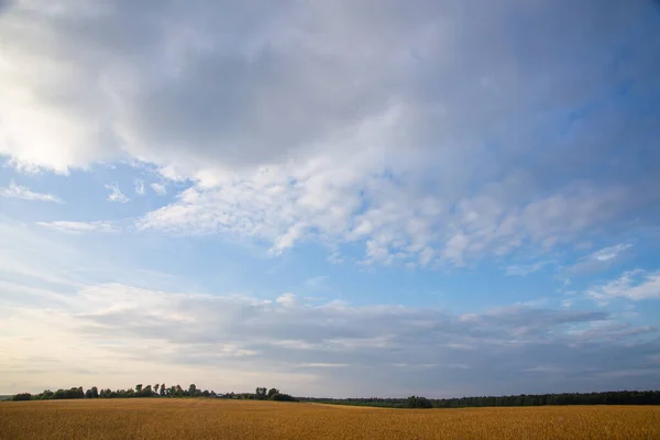 Branco Rosa Cirrus Nuvens Céu Azul Uma Noite Verão Fundo — Fotografia de Stock