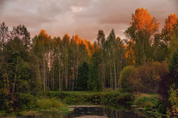 Herbstlandschaft Laubwald Mit Sandgruben Und Wasser Sonnenuntergang — Stockfoto